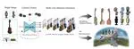 SViM3D: Stable Video Material Diffusion for Single Image 3D Generation
